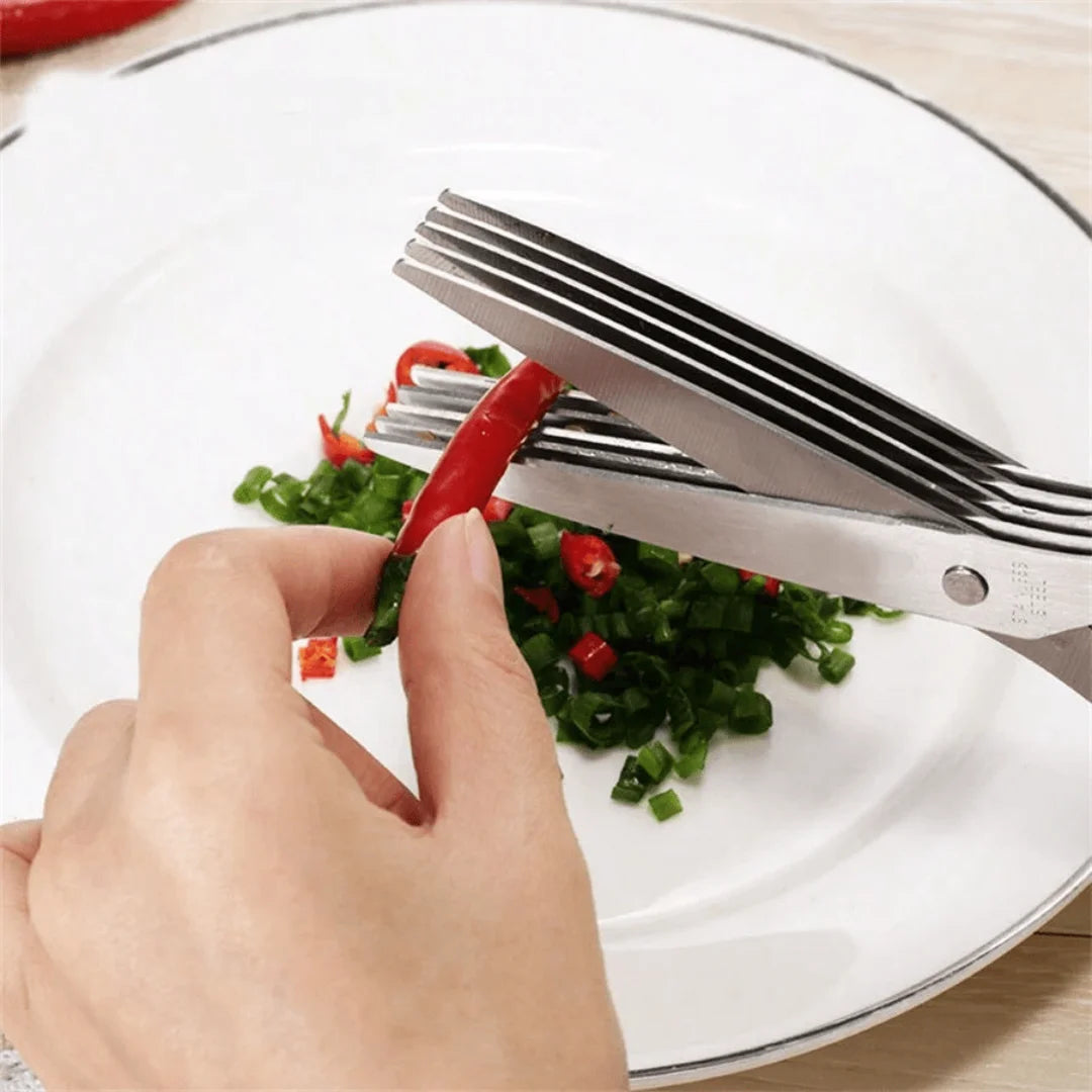 5-Blade Stainless Steel Herb and Scallion Scissors
