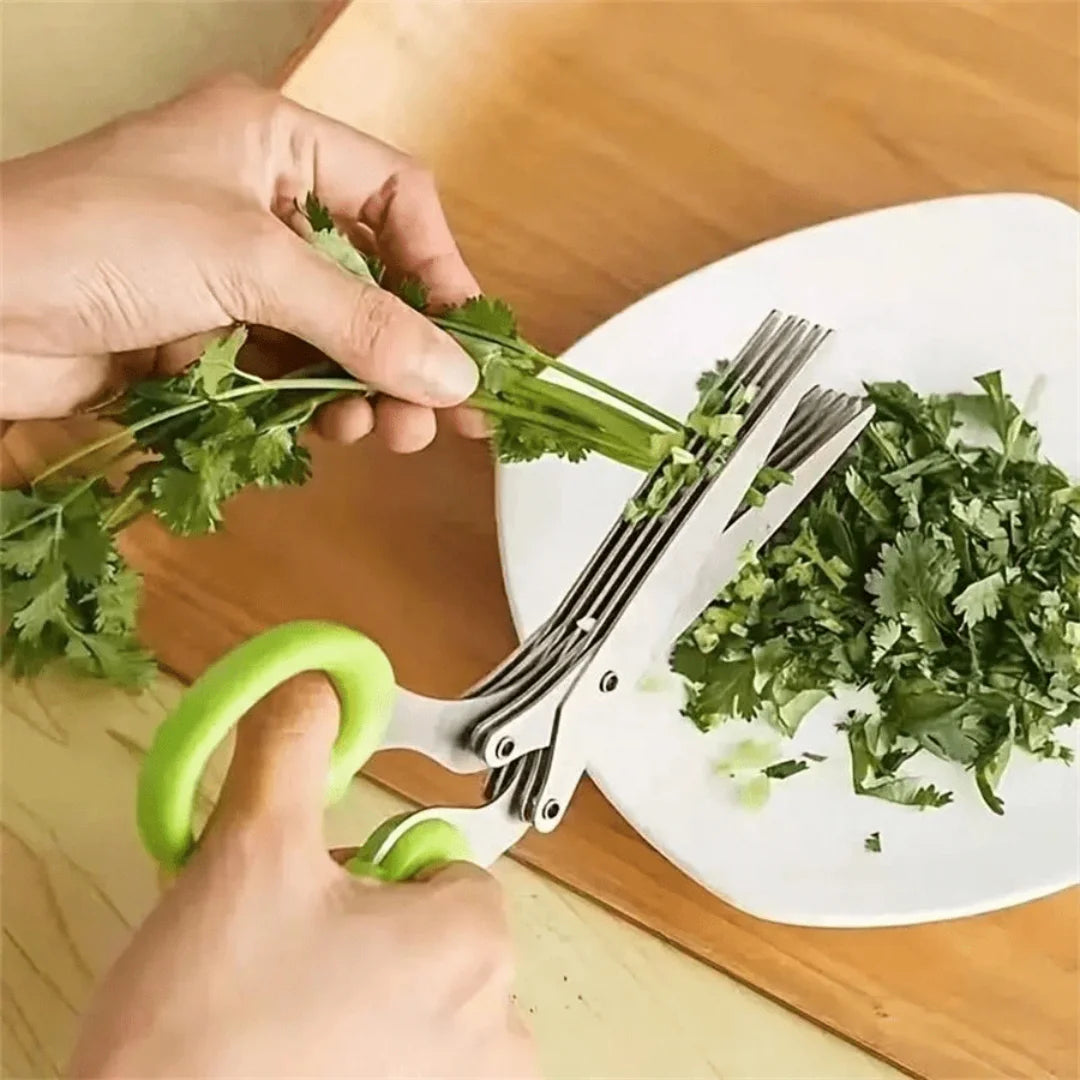 5-Blade Stainless Steel Herb and Scallion Scissors